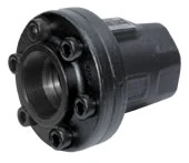 Series C Threaded End Carbon Steel Swing Check Valve